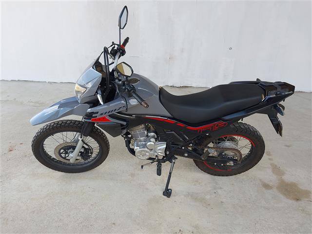 LOTE 027 SHI 175 2024/2024 LOTE 027 SHI 175 2024/2024